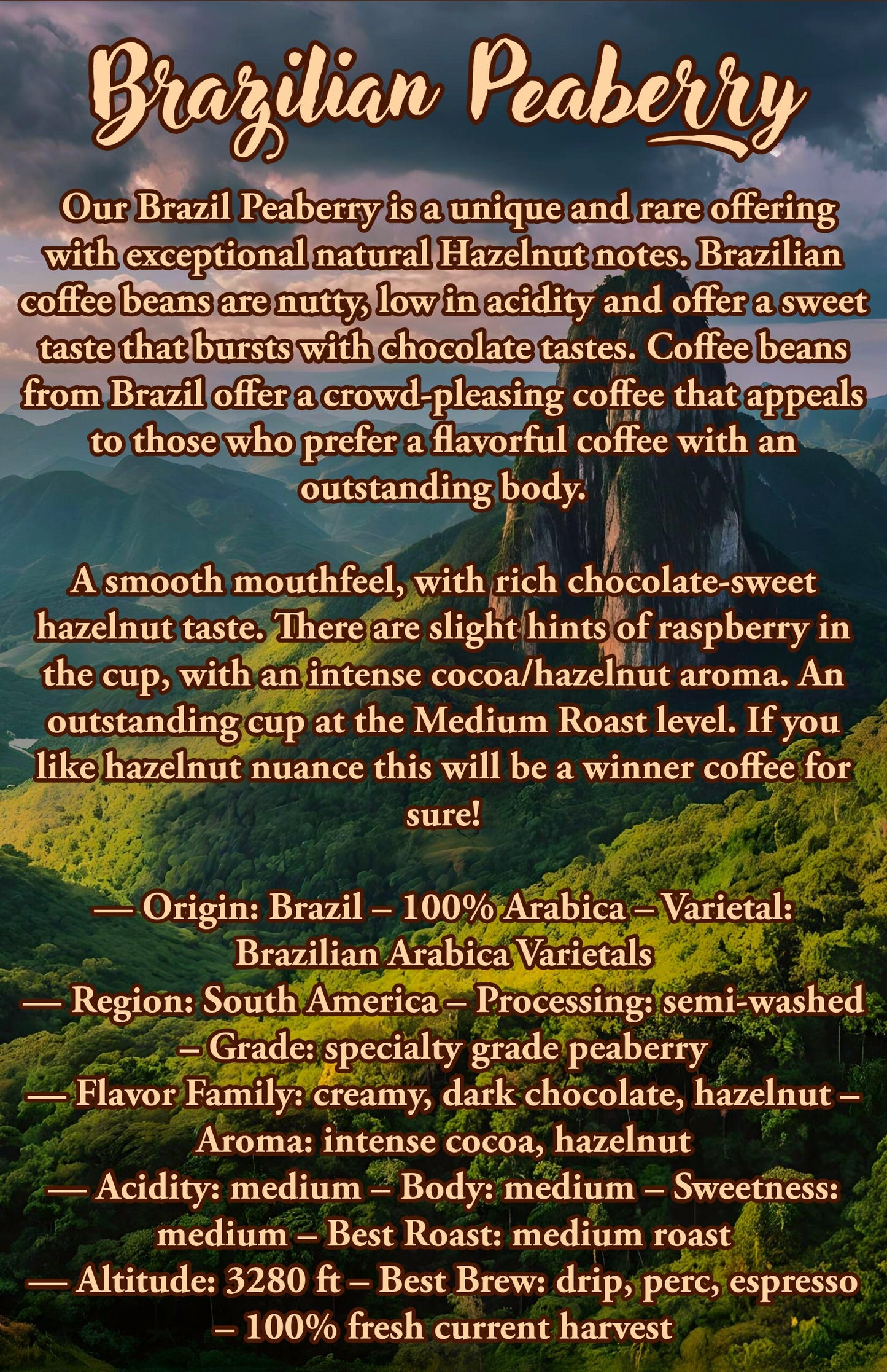 12 Oz Brazilian Peaberry Coffee | 100% Arabica Coffee Beans |