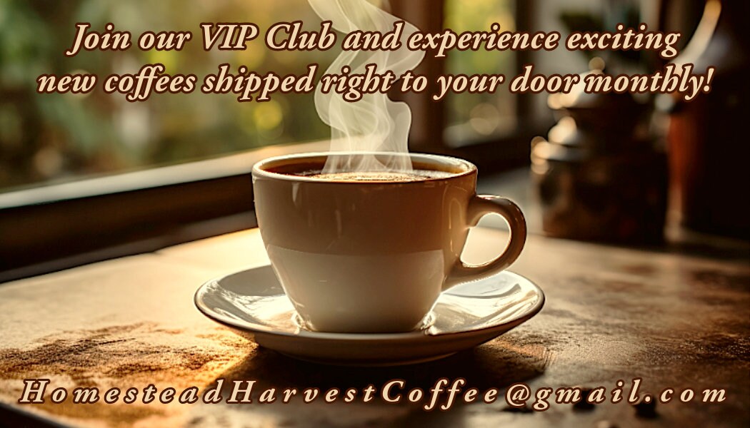 12 Oz Burundian Coffee | 100% Arabica Coffee Beans |