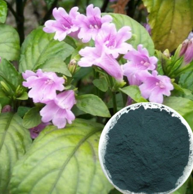 Indigo Naturalis Powder 99+% Purity - Invictus Supply Co.