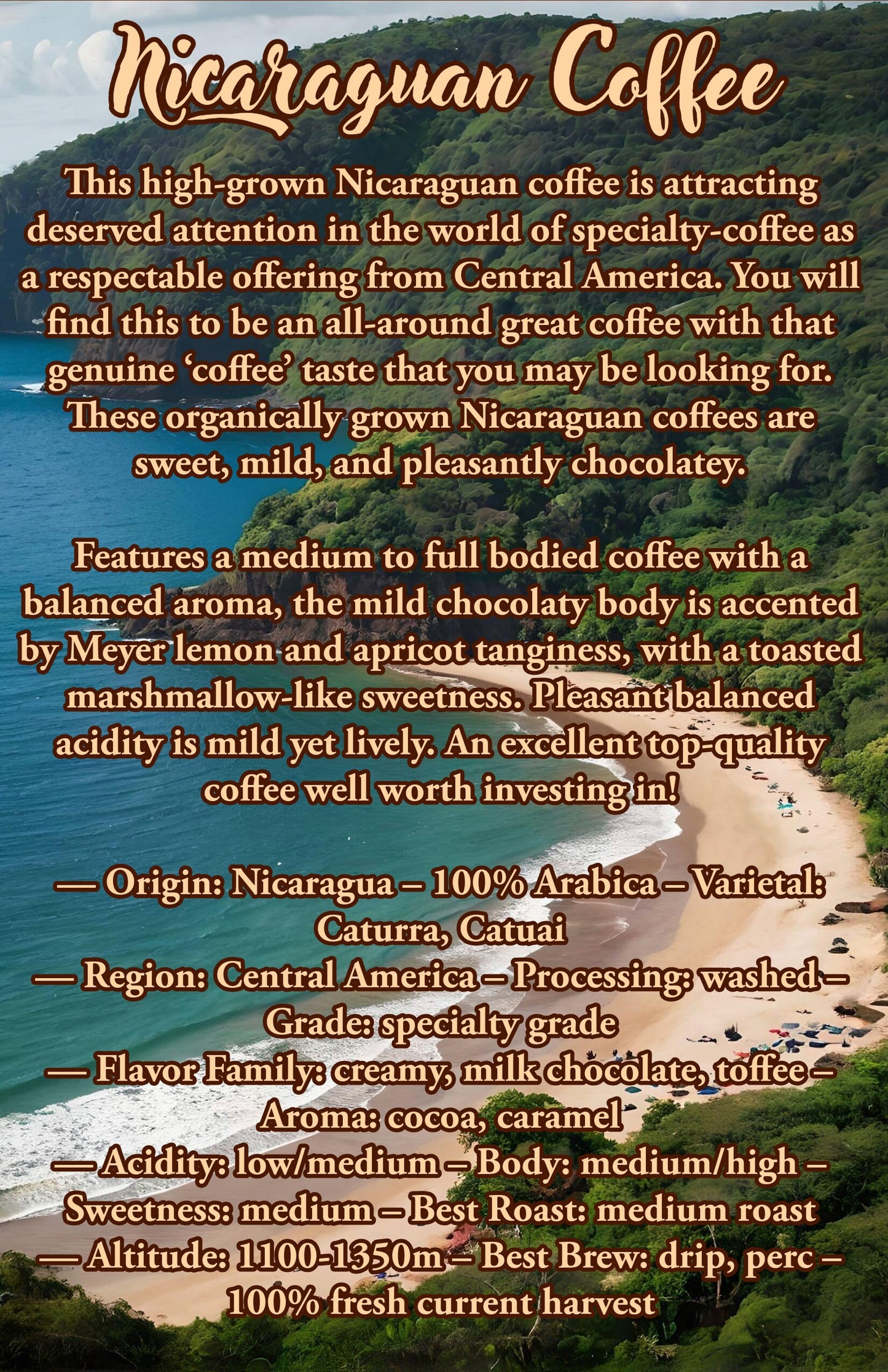 12 Oz Nicaraguan Coffee | 100% Arabica Coffee Beans |